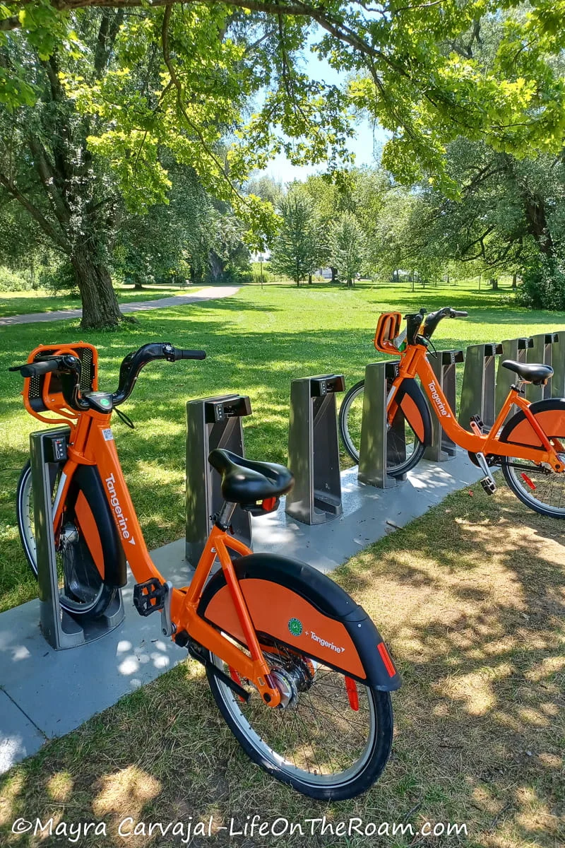 Orange bicycles parked at a Bike Share Toronto station