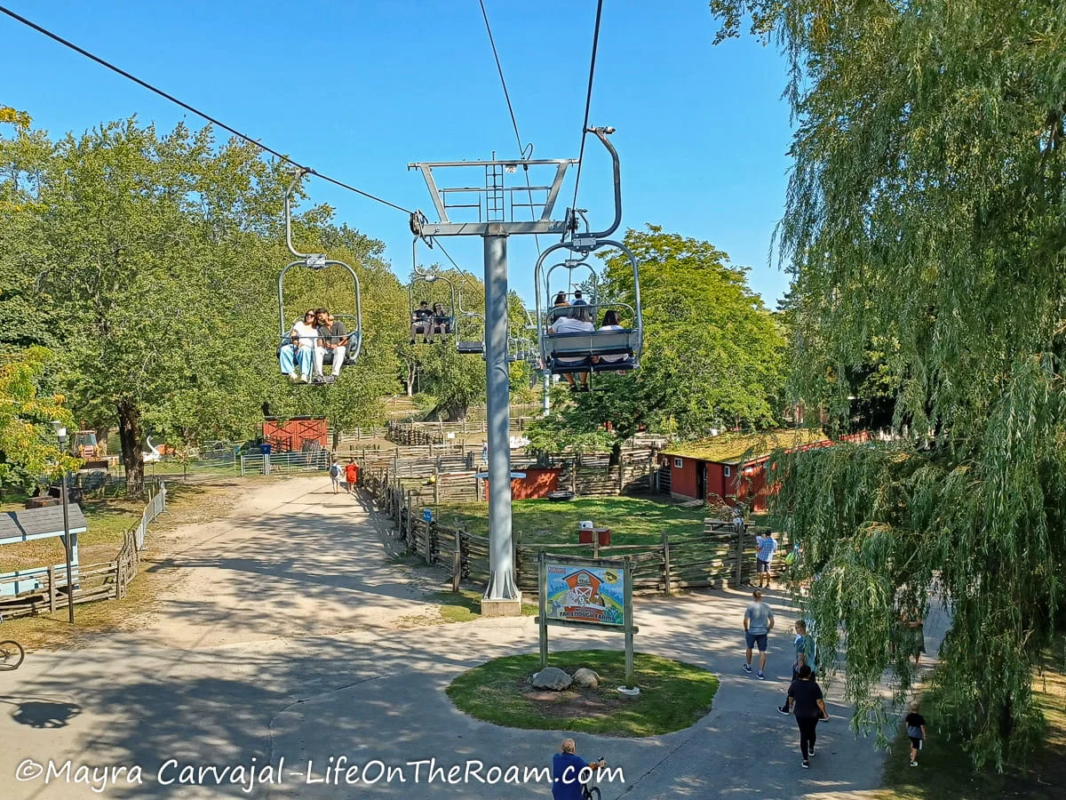 A chair lift ride over an amusement park with many trees