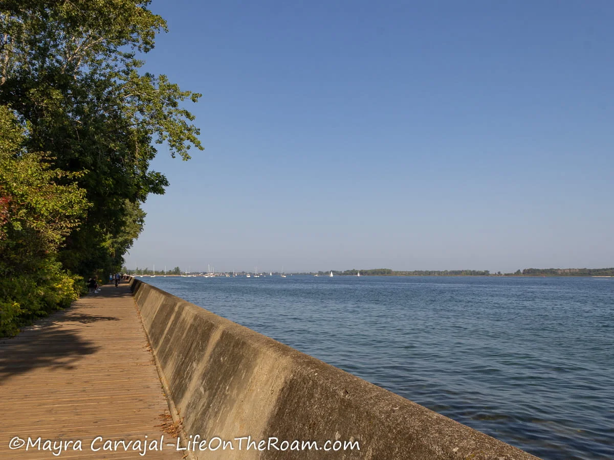 A boardwalk along the shore of a lake with trees on the left side