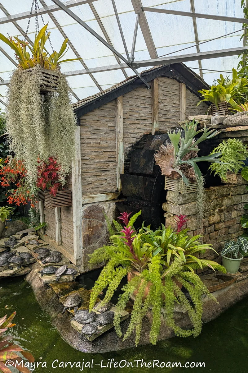 A fountain with plants and turtles