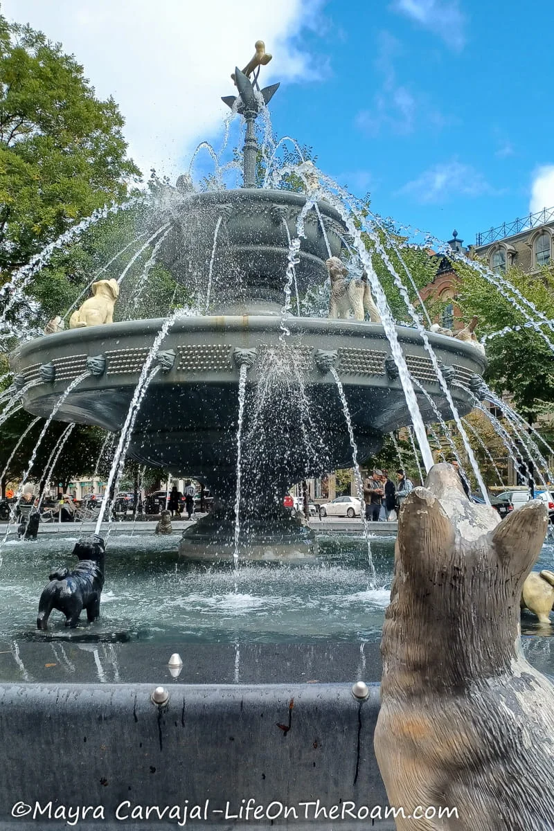 A fountain with dogs as water jets aiming at a dog bone
