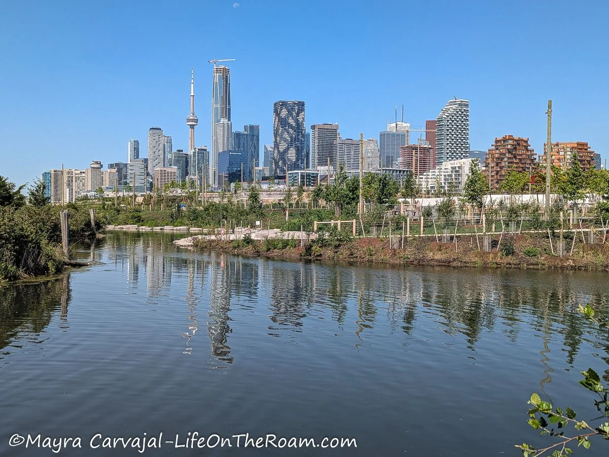 View of the skyscrapers of a city from an urban park with canals