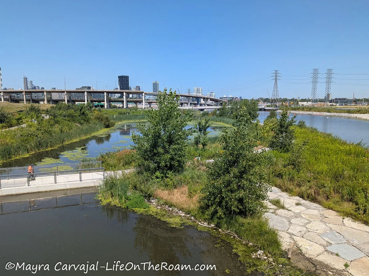 A view of a waterways through a park and a highway ramp in the distance