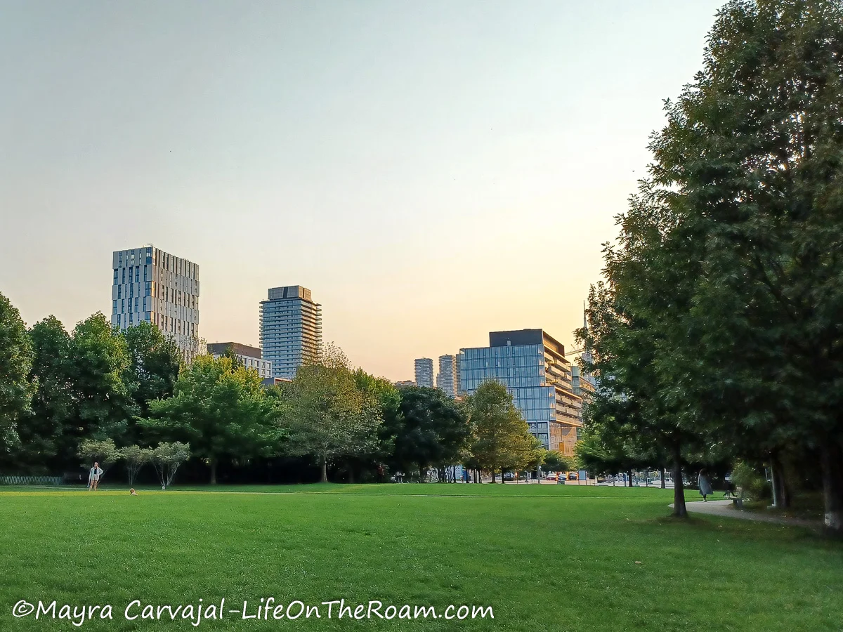An open field in an urban park with trees in the borders and the city skyline in the distance