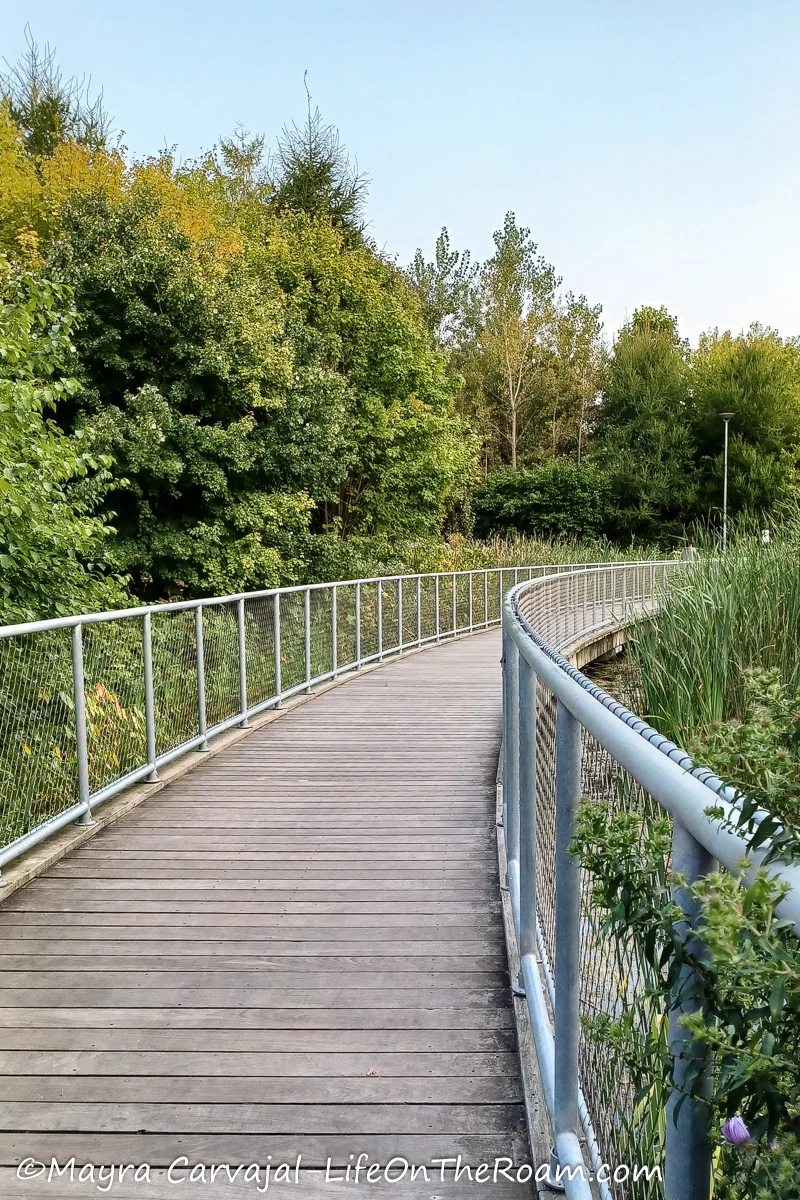 An elevated boardwalk on a marsh