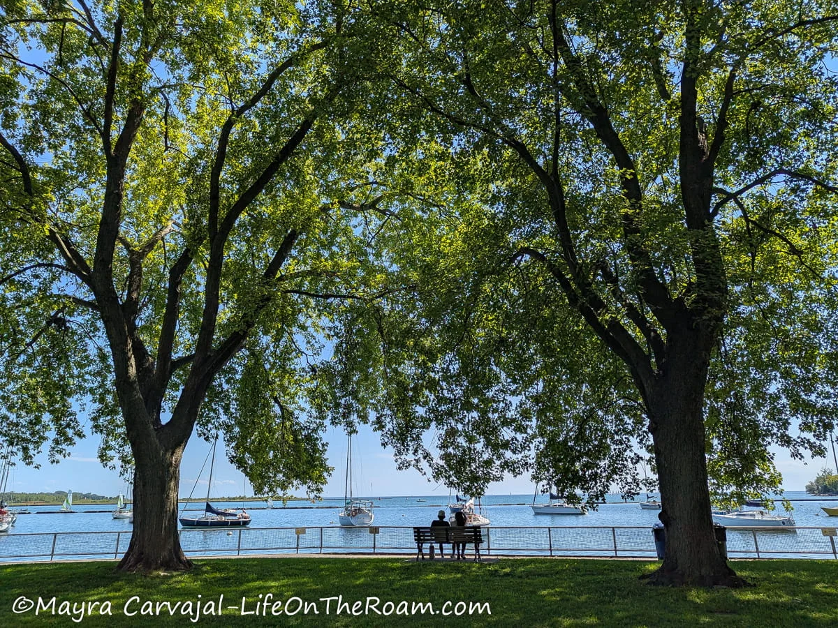 View of the lake in the summer, framed by two tall trees and a couple sitting on a benc