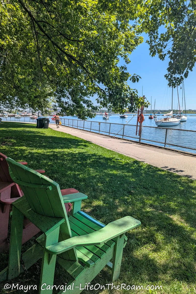 Muskoka chairs facing under big trees facing a lakeside walking trail