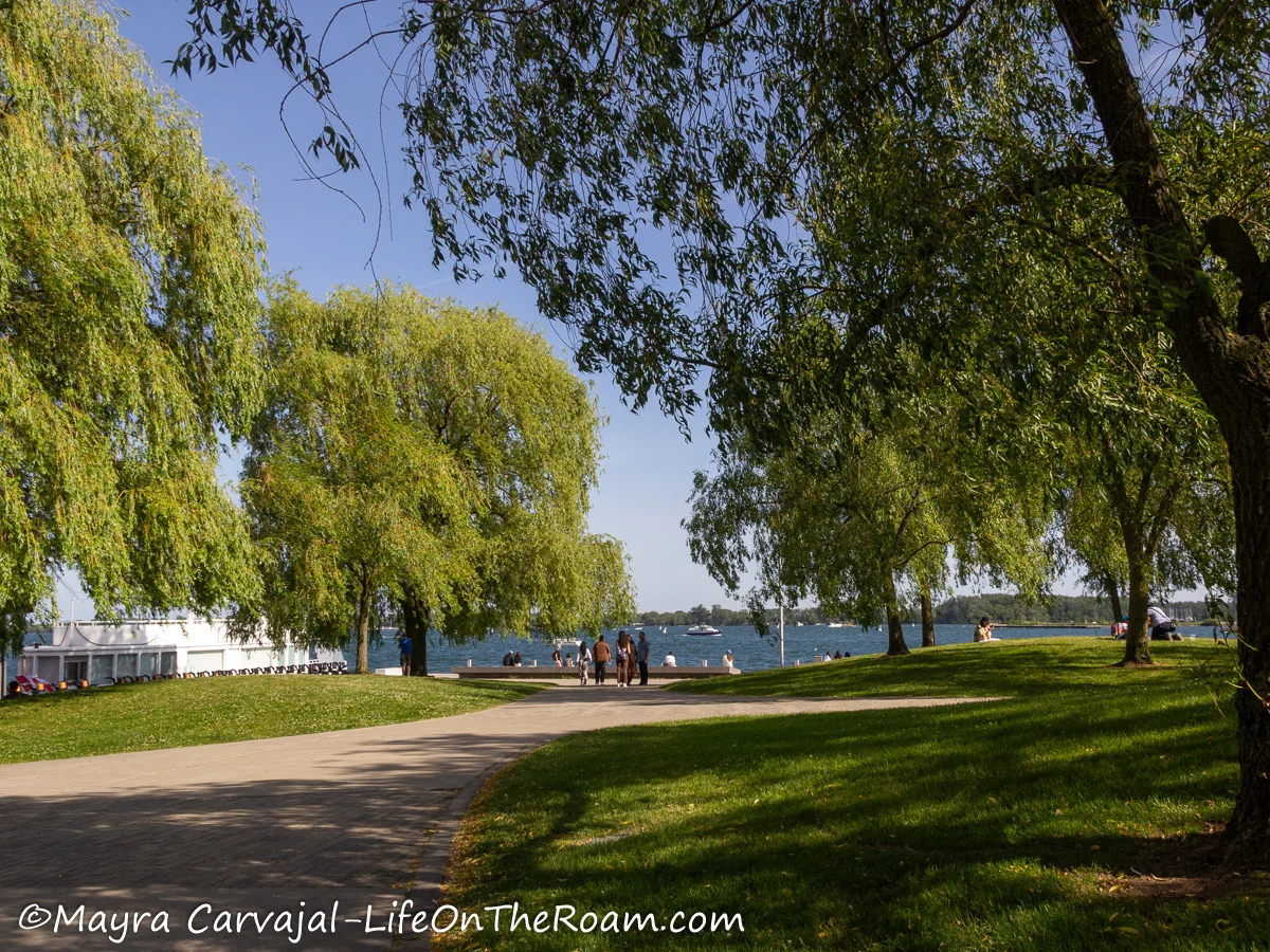 A lakefront urban park with grass islands with tall trees