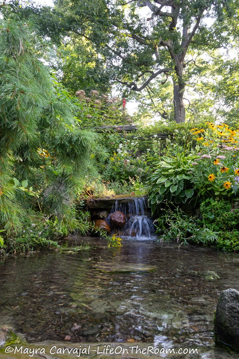 A small cascade with rocks in a lush garden