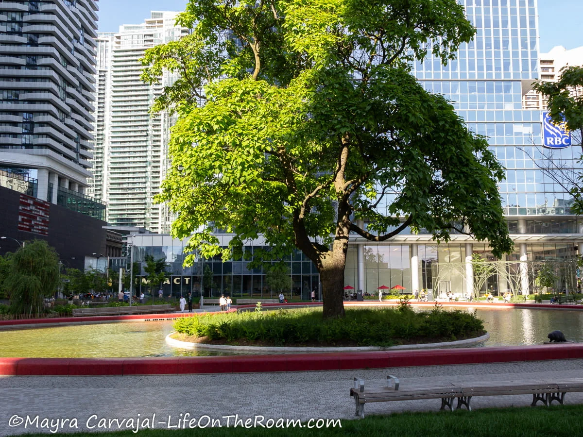 An urban park with a fountain and a tree inside