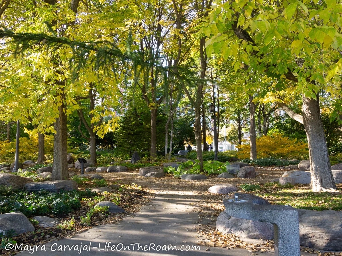 A garden with undulating paths, trees and boulders
