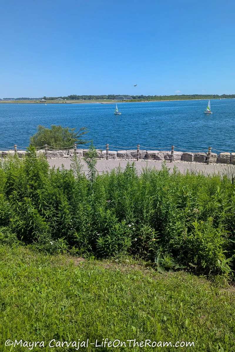 View of boats sailing on a lake from a hill