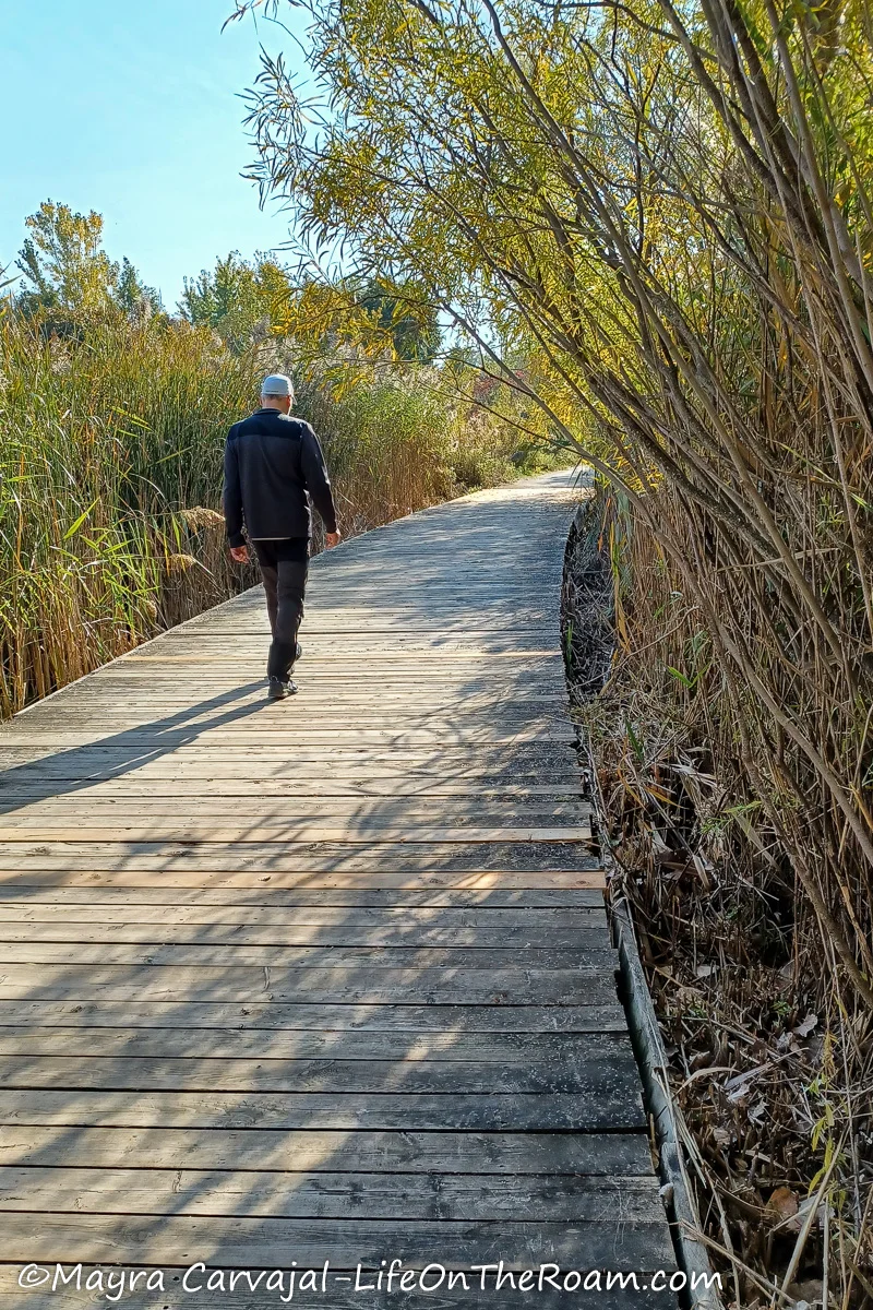 A man walking on a boardwalk flanked by tallgrass