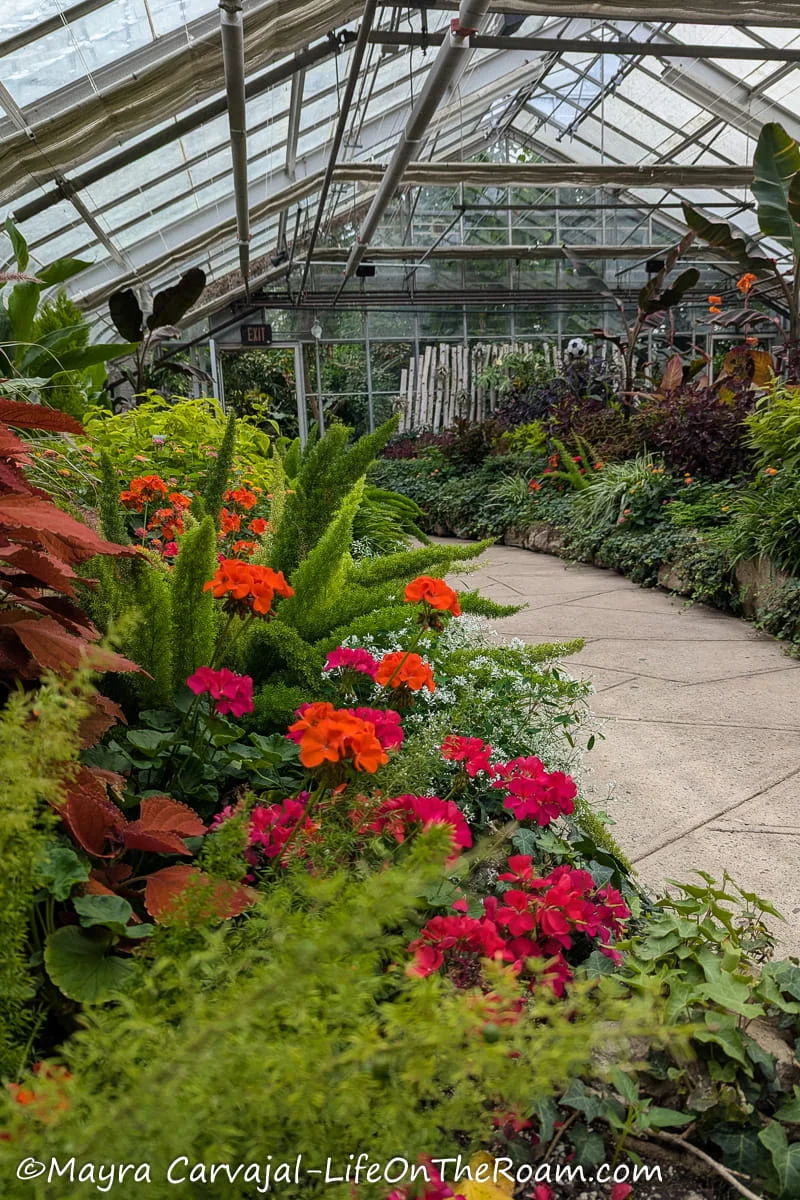 A green house with colourful flowers
