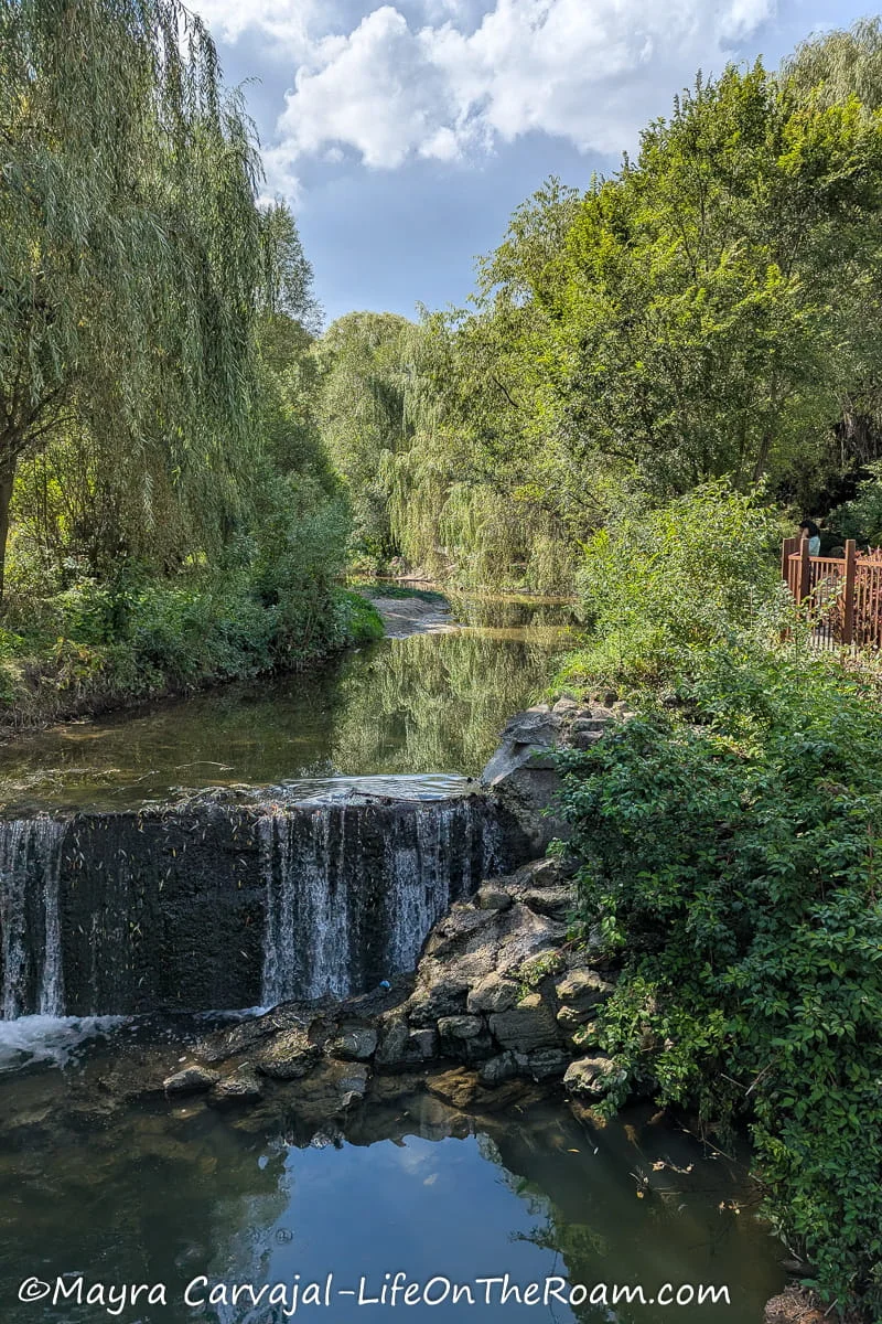 A creek and a mini waterfall surrounded by greenery