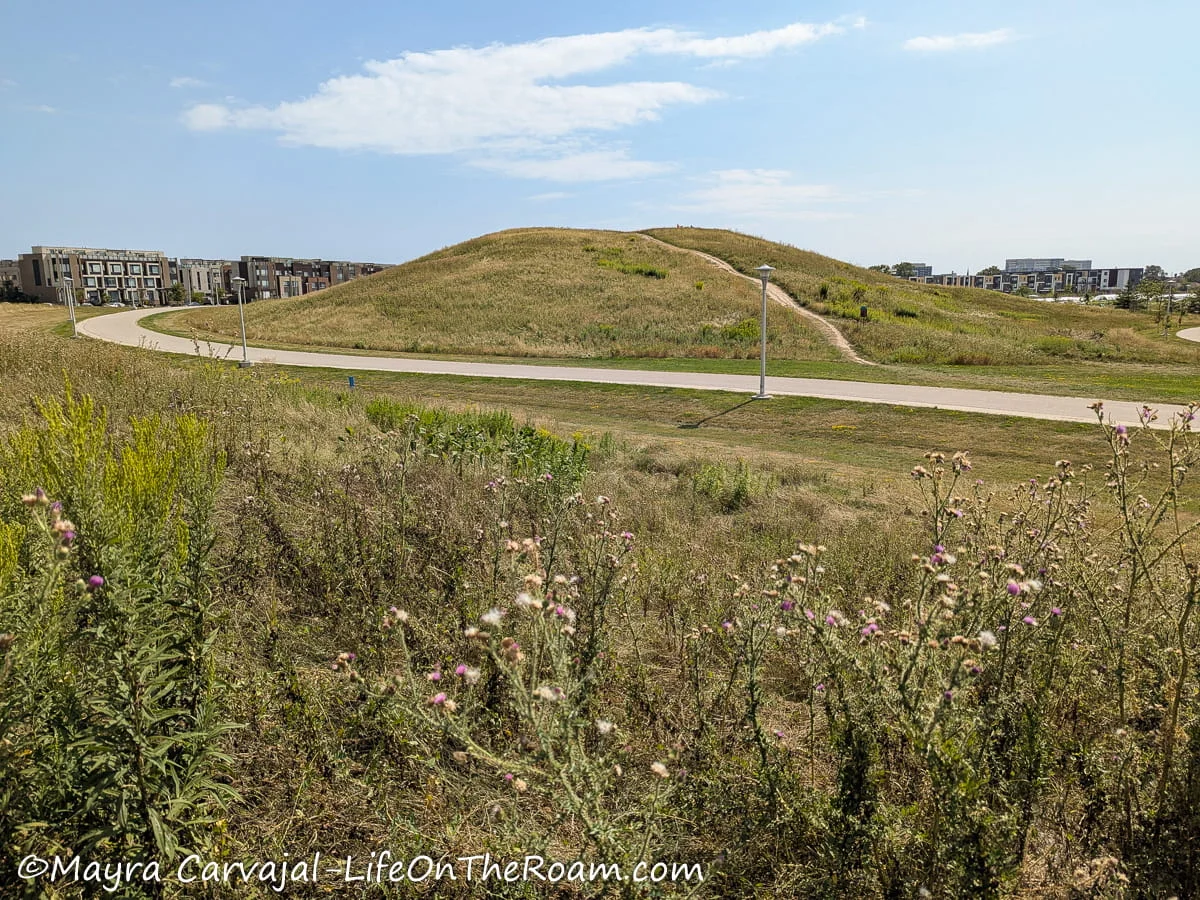 A gentle hill with an access path