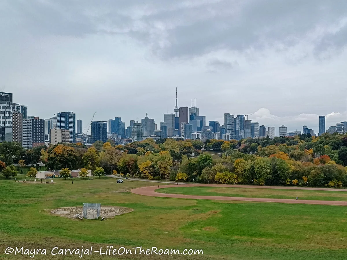 View of a city's skyline from the hill of a park