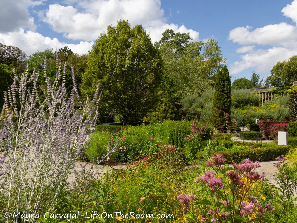 A garden with trees and flowers during summertime