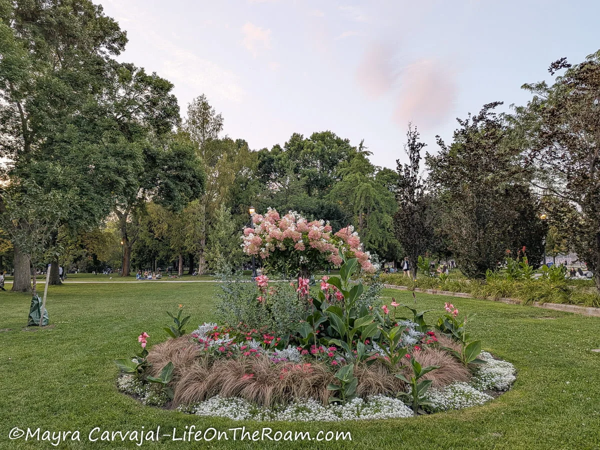 A landscaped area with flowers in an urban park