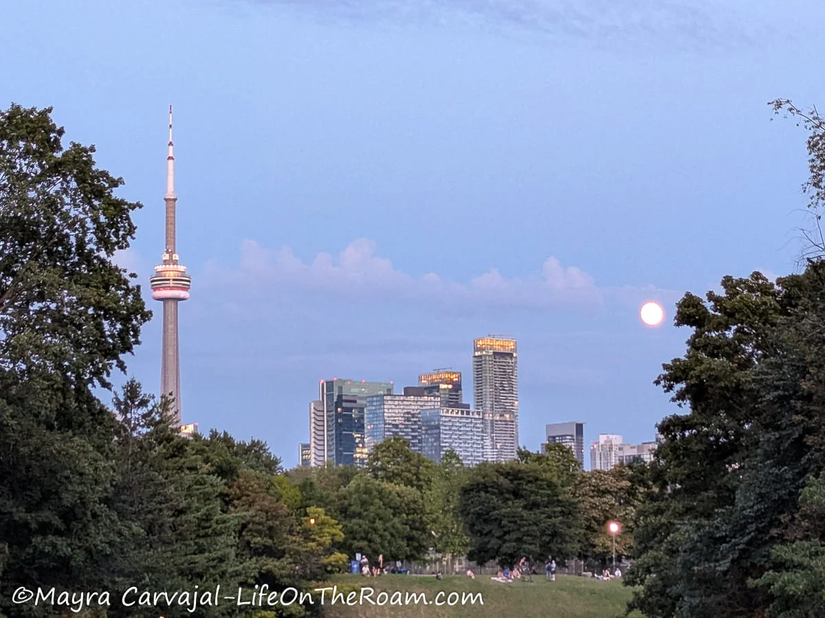Image of the CN Tower and the city skyline in the background with trees in a park in the foreground