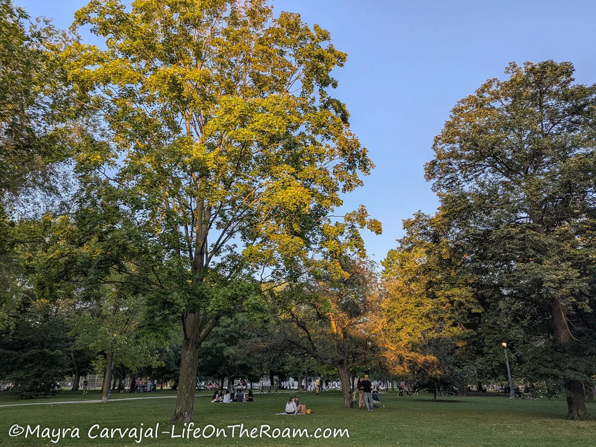 An urban park with many mature trees providing shade